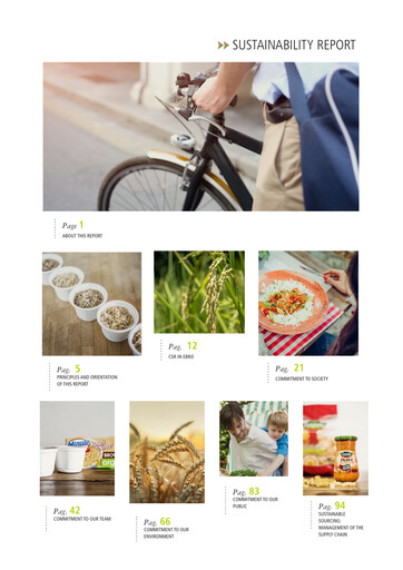 Miniature Ebro Foods
 Rapport de durabilité 2016