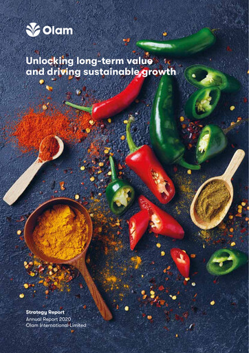 Vorschaubild Olam Jahresbericht 2020