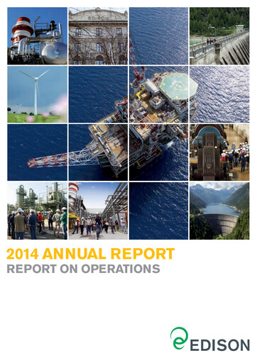 Thumbnail Edison Annual Report 2014