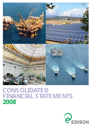 Thumbnail Edison Financial Statement 2008