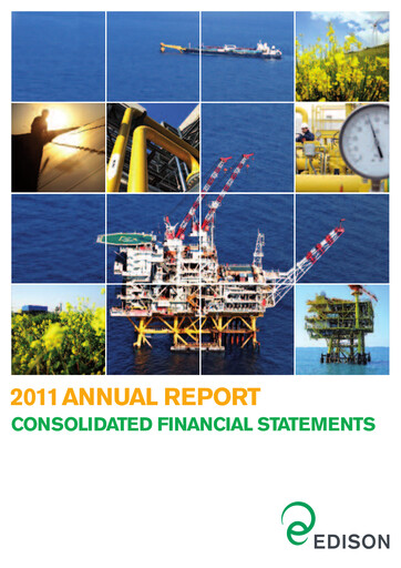 Thumbnail Edison Financial Statement 2011