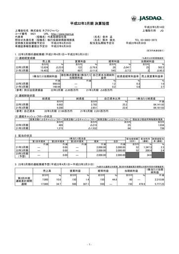 Thumbnail NJ Holdings Financial Statement fy2010