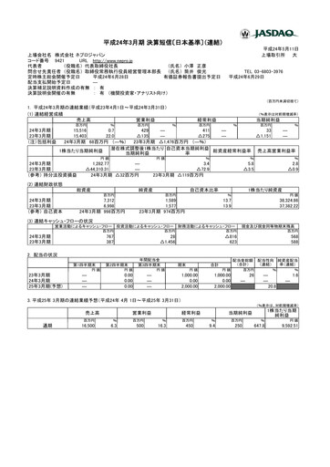 Thumbnail NJ Holdings Financial Statement fy2012
