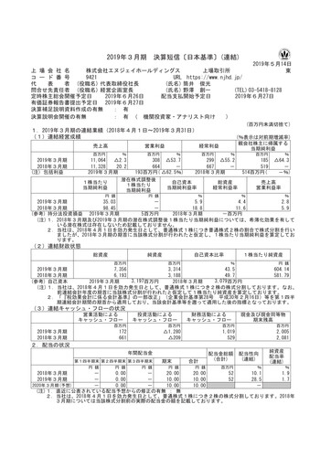 Thumbnail NJ Holdings Financial Statement fy2019