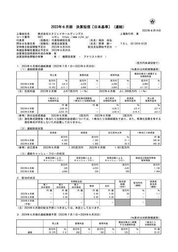 Thumbnail NJ Holdings Financial Statement fy2023