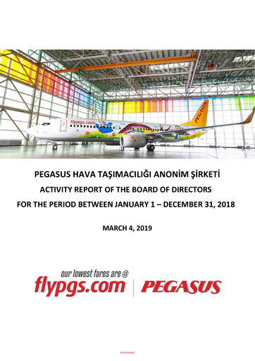 Vorschaubild Pegasus Airlines
 Jahresbericht 2018