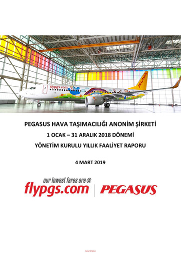 Thumbnail Pegasus Airlines
 Annual Report 2018
