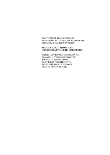 Thumbnail Pegasus Airlines
 Financial Statement 2019-h1