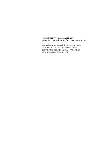 Thumbnail Pegasus Airlines
 Financial Statement 2016-h1
