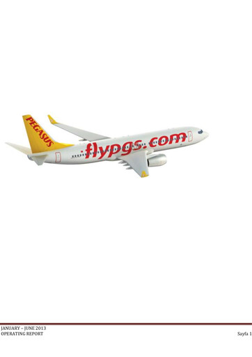 Miniature Pegasus Airlines
 Rapport semestriel 2013-h1