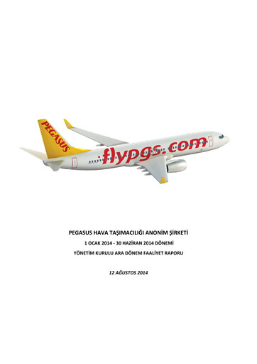 Miniature Pegasus Airlines
 Rapport semestriel 2014-h1