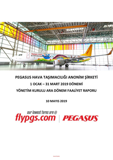Miniature Pegasus Airlines
 Rapport trimestriel 2019-q1