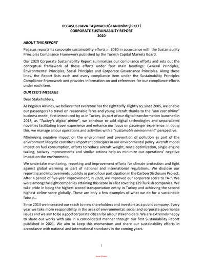 Miniature Pegasus Airlines
 Rapport de durabilité 2020