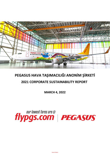 Miniature Pegasus Airlines
 Rapport de durabilité 2021