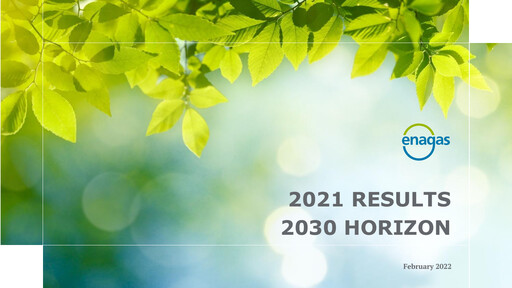 Thumbnail Enagás
 Financial Report 2021