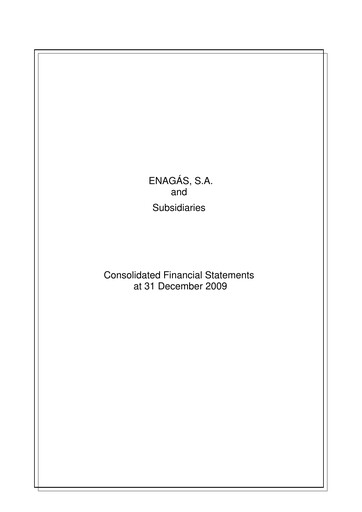 Thumbnail Enagás
 Financial Statement 2009