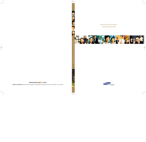 Miniature Samsung Life Insurance
 Rapport annuel 2002