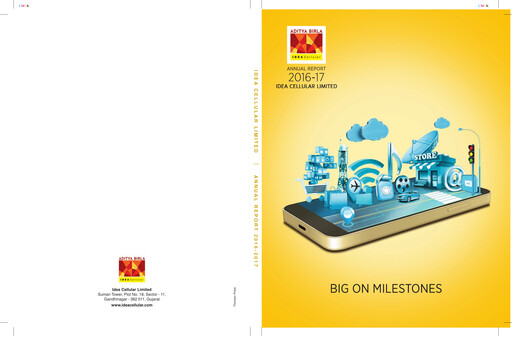 Miniature Vodafone Idea
 Rapport annuel 2016-2017