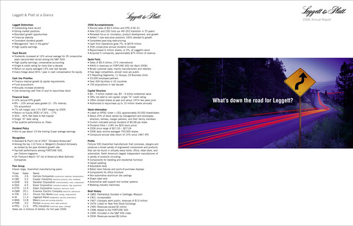 Thumbnail Leggett & Platt

 Annual Report 2006