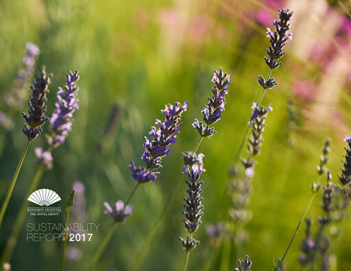 Thumbnail Mandarin Oriental Sustainability Report 2017