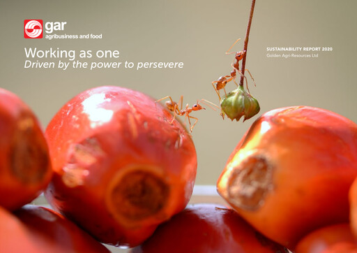 Vorschaubild Golden Agri-Resources Nachhaltigkeitsbericht 2020