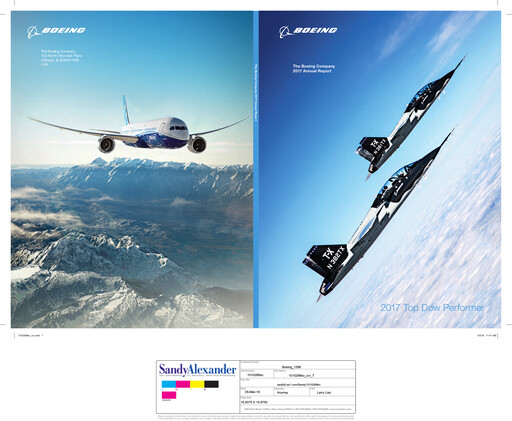 Thumbnail Boeing Annual Report 2017