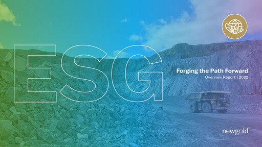 Miniature New Gold Rapport ESG 2022