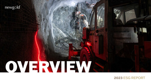 Miniature New Gold Rapport ESG 2023