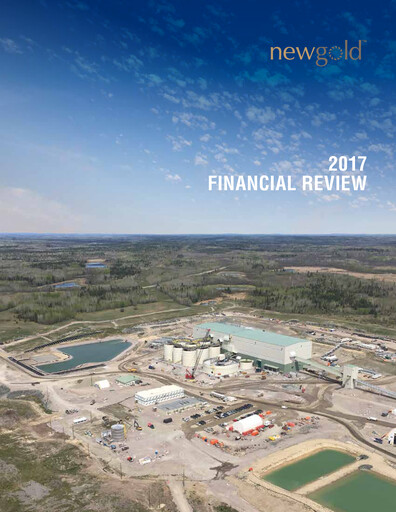 Thumbnail New Gold Financial Statement 2017
