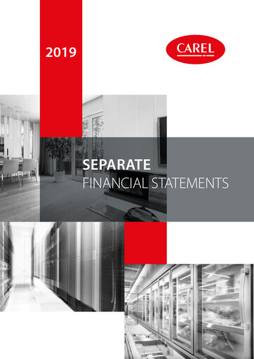 Thumbnail Carel Industries Financial Statement 2019