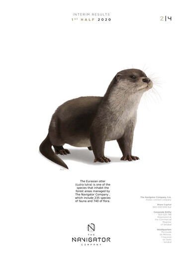 Thumbnail The Navigator Company
 Half-year Report 2020-h1