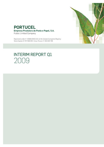 Thumbnail The Navigator Company
 Quarterly Report 2009-q1