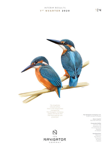 Thumbnail The Navigator Company
 Quarterly Report 2020-q1