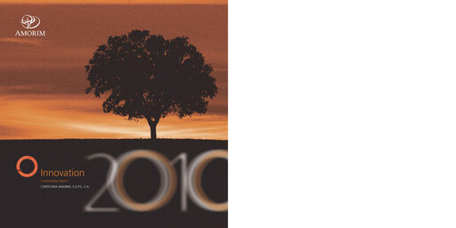 Miniature Corticeira Amorim Rapport de durabilité 2010