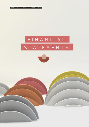Thumbnail Sonae Financial Statement 2013