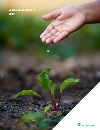 Miniature Galiano Gold Rapport de durabilité 2019