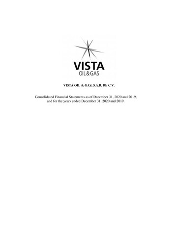 Thumbnail Vista Energy Financial Statement 2020-2019