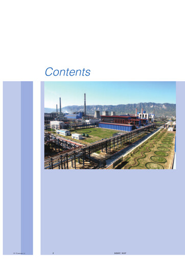 Thumbnail Aluminum Corporation of China Financial Statement 2006