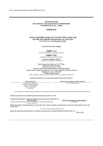 Miniature Ambev Rapport annuel 2013