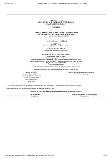 Miniature Ambev Rapport annuel 2018