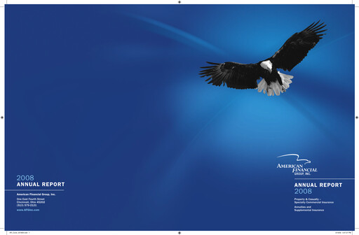 Thumbnail American Financial Group
 Annual Report 2008