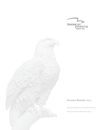 Thumbnail American Financial Group
 Annual Report 2013