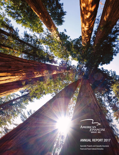 Thumbnail American Financial Group
 Annual Report 2017