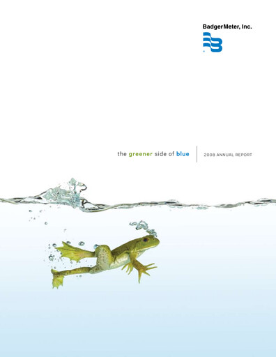 Thumbnail Badger Meter
 Annual Report 2008