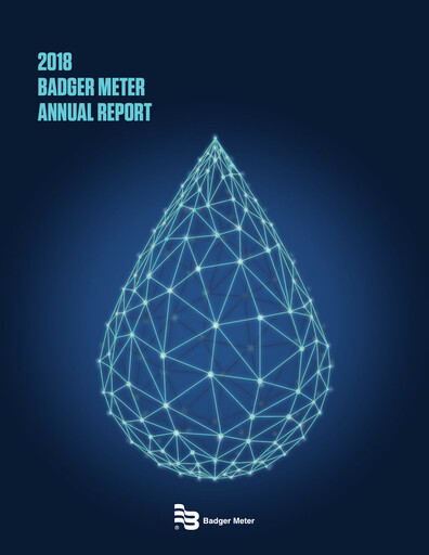 Thumbnail Badger Meter
 Annual Report 2018