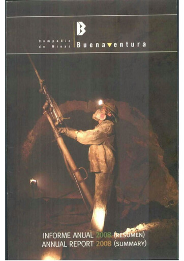 Miniature Buenaventura Mining Company  Rapport annuel 2008
