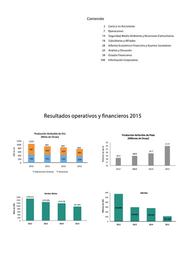 Miniature Buenaventura Mining Company  Rapport annuel 2015