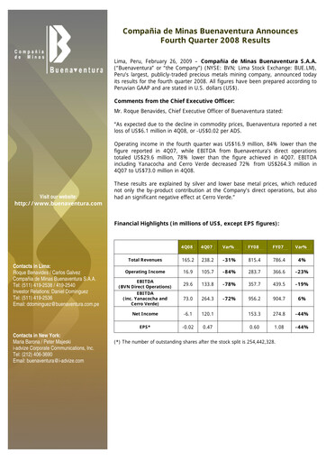 Miniature Buenaventura Mining Company  Bilan financier 2008