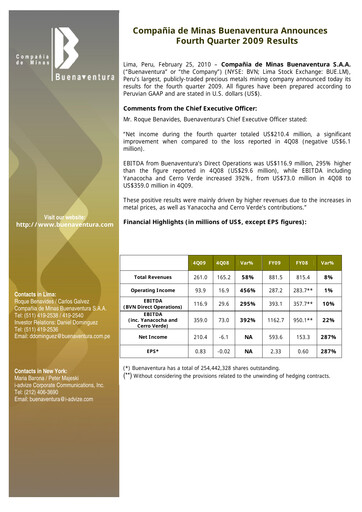 Miniature Buenaventura Mining Company  Bilan financier 2009