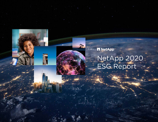 Miniature NetApp
 Rapport ESG 2020